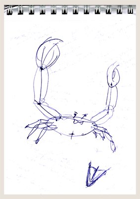 bocetos 28